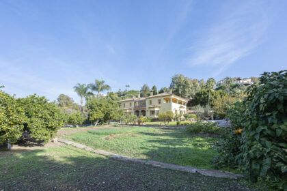 431ed67deb1cb7e22bae8f34d840f626 - 52