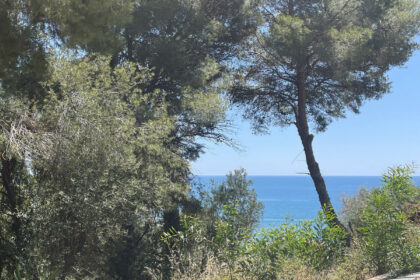 43669a24986acf9b9f95259d42b99762 - 4