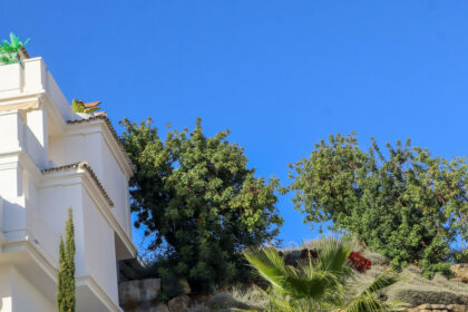 46160ce9d3f8f8a7ba3568667f72a12a - 78