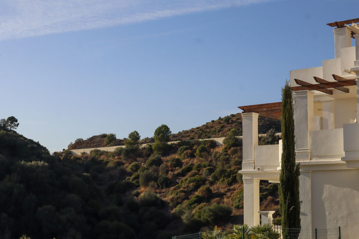 46160ce9d3f8f8a7ba3568667f72a12a - 79