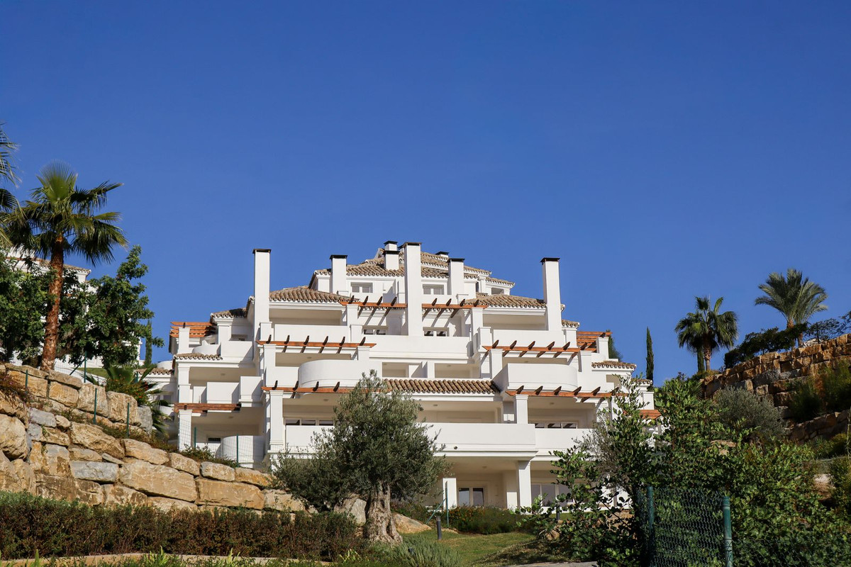 46160ce9d3f8f8a7ba3568667f72a12a - 81