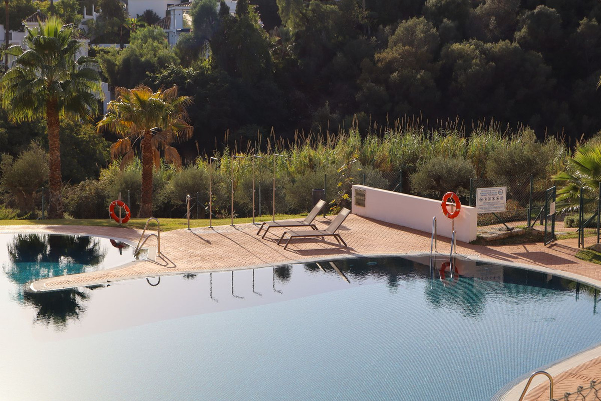 46160ce9d3f8f8a7ba3568667f72a12a - 82