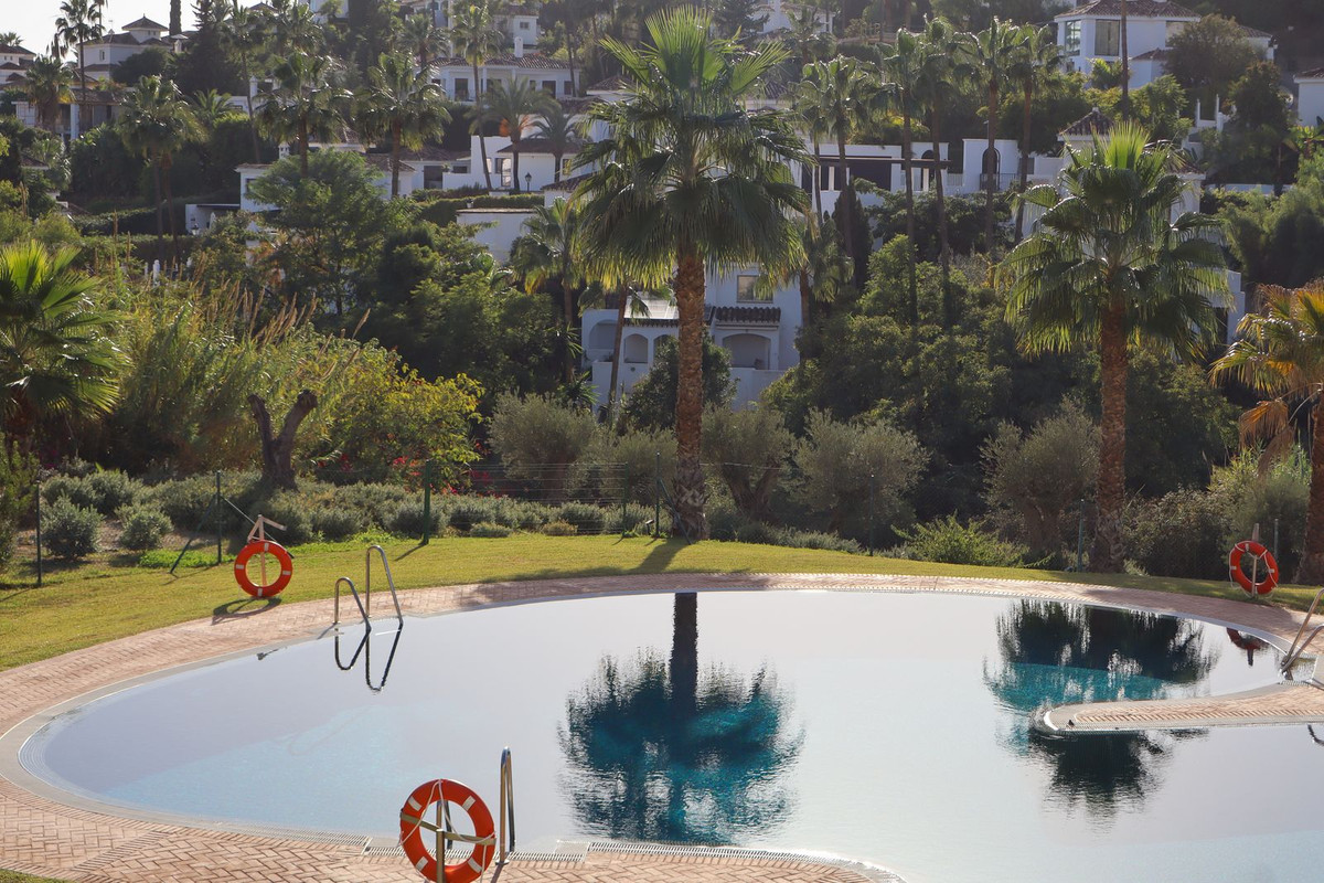 46160ce9d3f8f8a7ba3568667f72a12a - 83