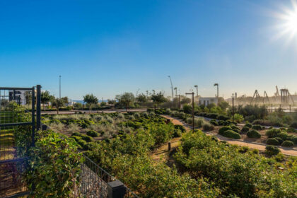 46b671b0594744153c9edc076e0566f7 - 24