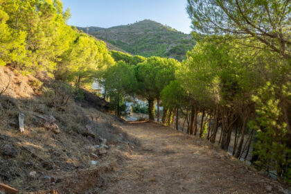 48f7a2257f753974705624170a851a56 - 12