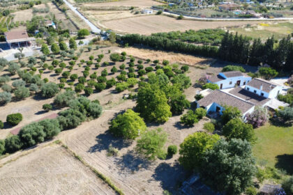 4b97ec14f108b96a97bd1e8d85876d65 - 17