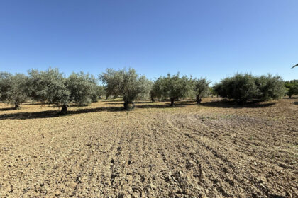 4b97ec14f108b96a97bd1e8d85876d65 - 26