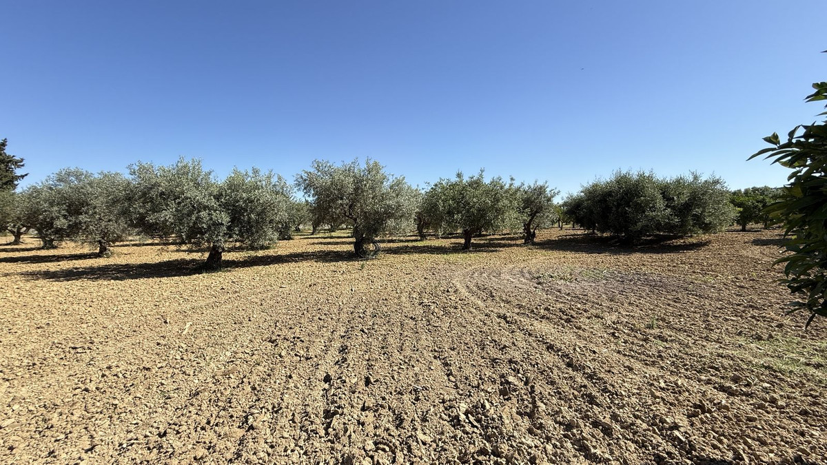 4b97ec14f108b96a97bd1e8d85876d65 - 26