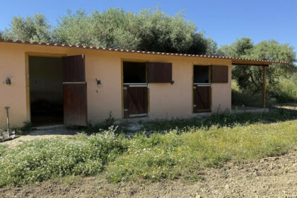 4b97ec14f108b96a97bd1e8d85876d65 - 27