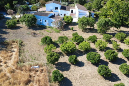 4b97ec14f108b96a97bd1e8d85876d65 - 30