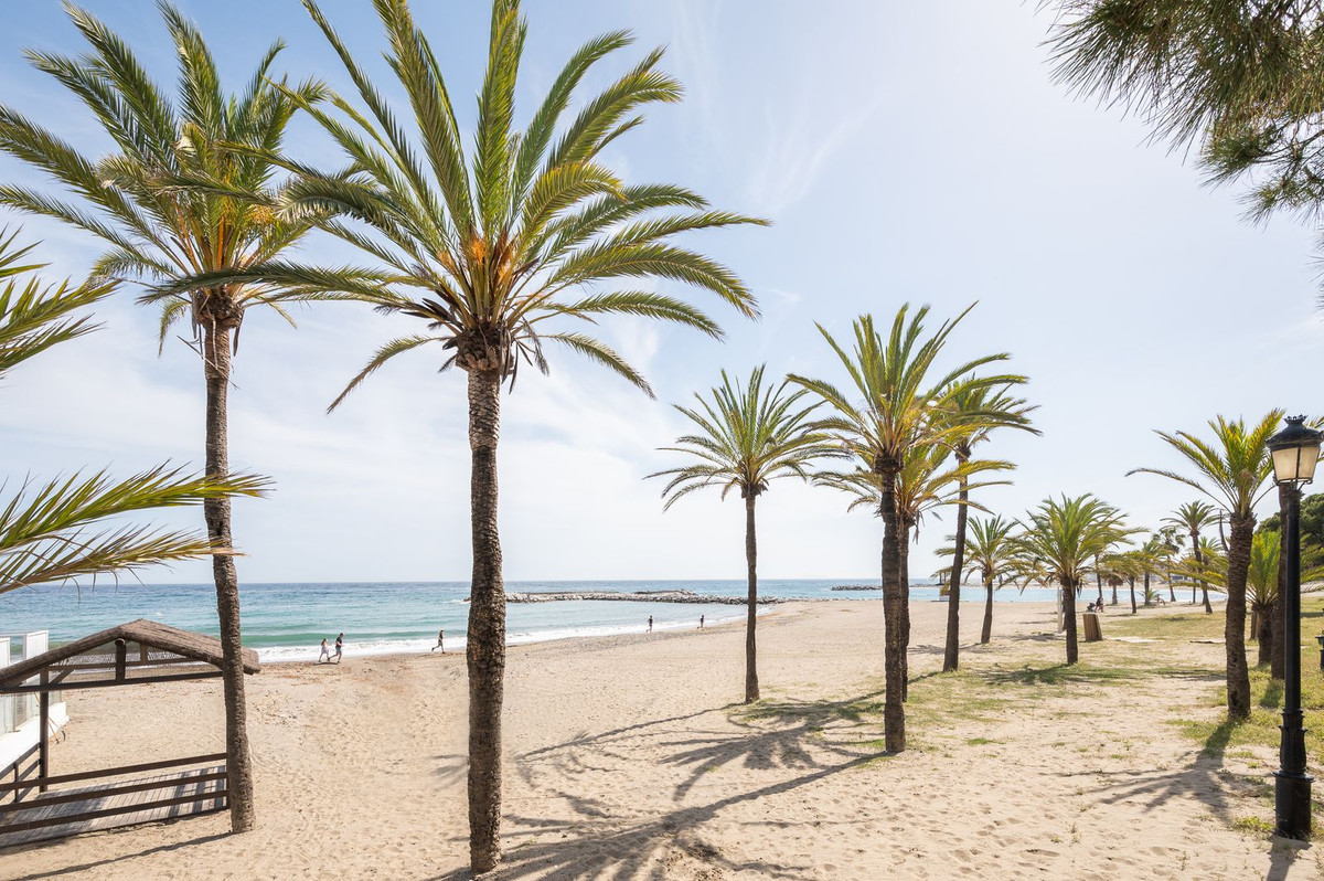 4c401e1f77bf3a79a1ea653ea8c3b82d - 40