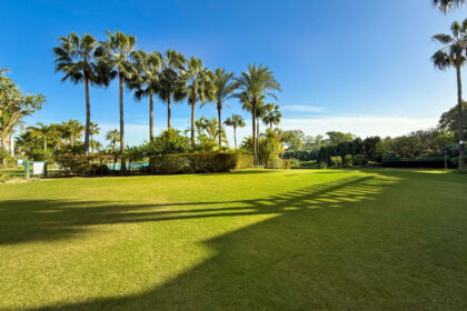 4e63a8db7c3d29dfff9b4bab78102447 - 28