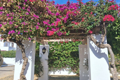 54524dfaef1538ab0758360f337cf8a8 - 27