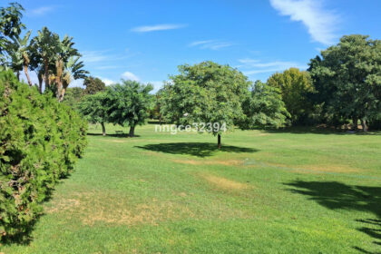 54524dfaef1538ab0758360f337cf8a8 - 28