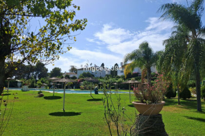 54524dfaef1538ab0758360f337cf8a8 - 31