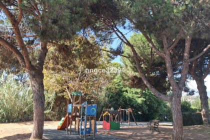 54524dfaef1538ab0758360f337cf8a8 - 36