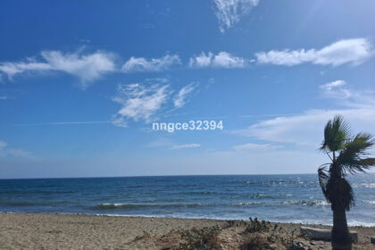 54524dfaef1538ab0758360f337cf8a8 - 39