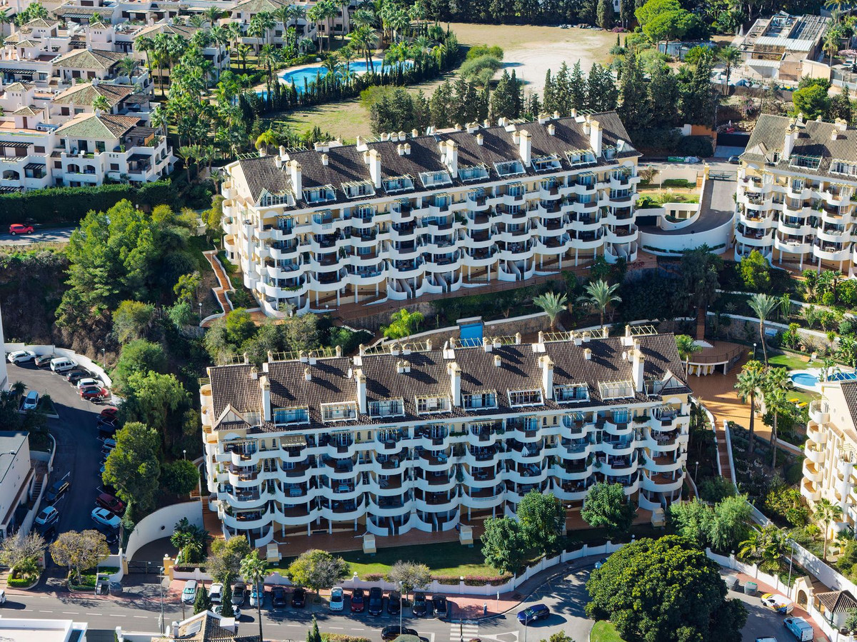 54a9414bd85b9a4858ad699374429b2c - 1