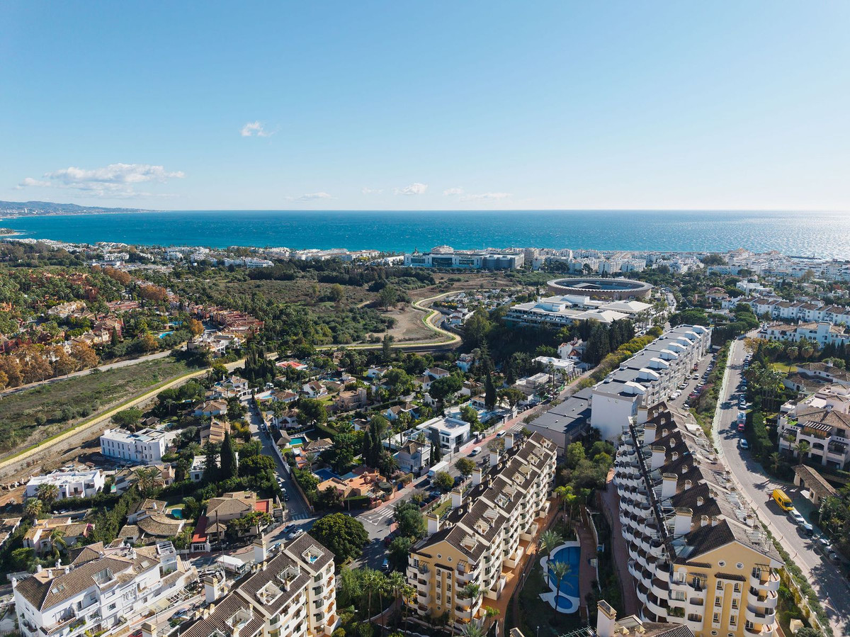 54a9414bd85b9a4858ad699374429b2c - 26