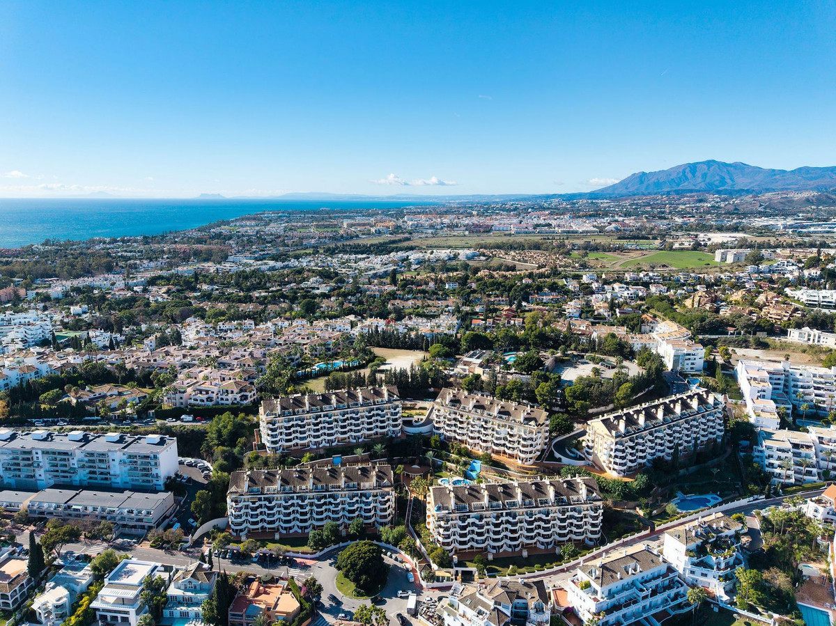 54a9414bd85b9a4858ad699374429b2c - 27