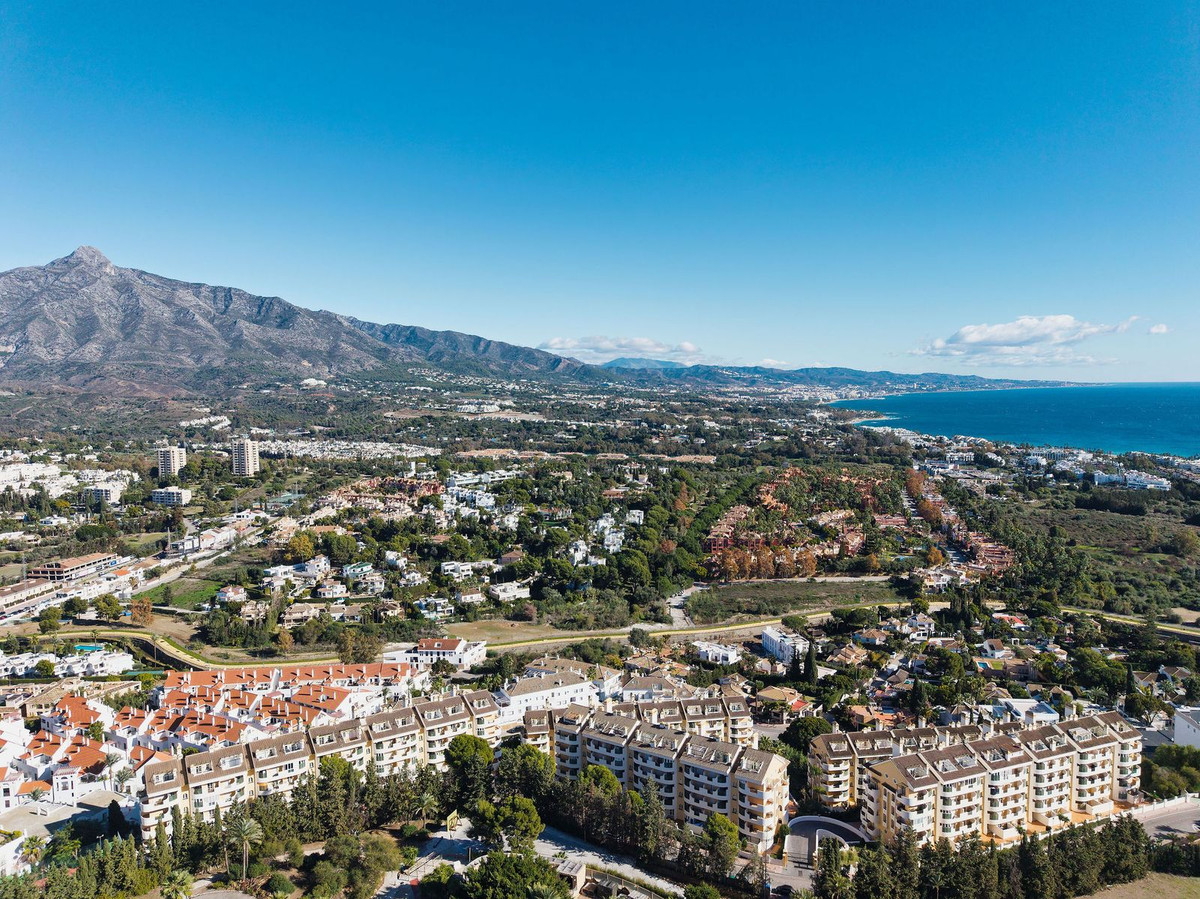 54a9414bd85b9a4858ad699374429b2c - 28