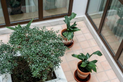 54aba9e3efd6798c6e9e1d7062c83464 - 31