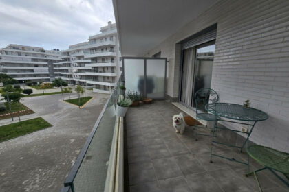 575dfd73d032da0f6e841a55d9c643ea - 17