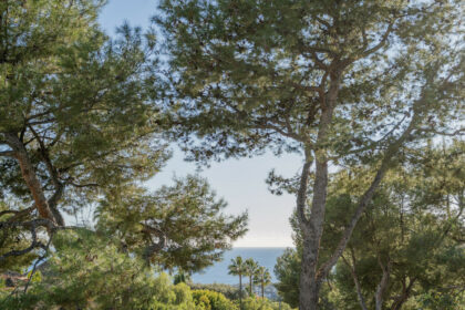 5abe3eda0890c501c2899992061c63ab - 53