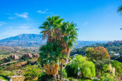 5b1b686530d8b1ac7b5df0ba518007d6 - 3