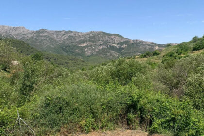 5b4a91136ac5cbf3f154994332d623c4 - 21