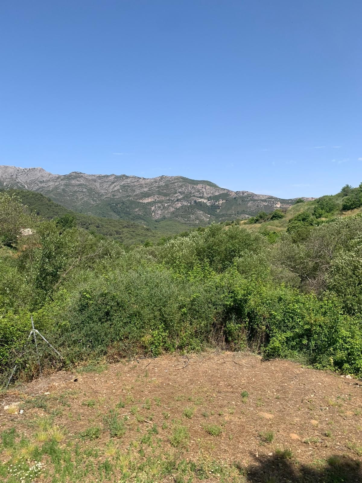 5b4a91136ac5cbf3f154994332d623c4 - 21