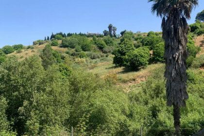 5b4a91136ac5cbf3f154994332d623c4 - 22