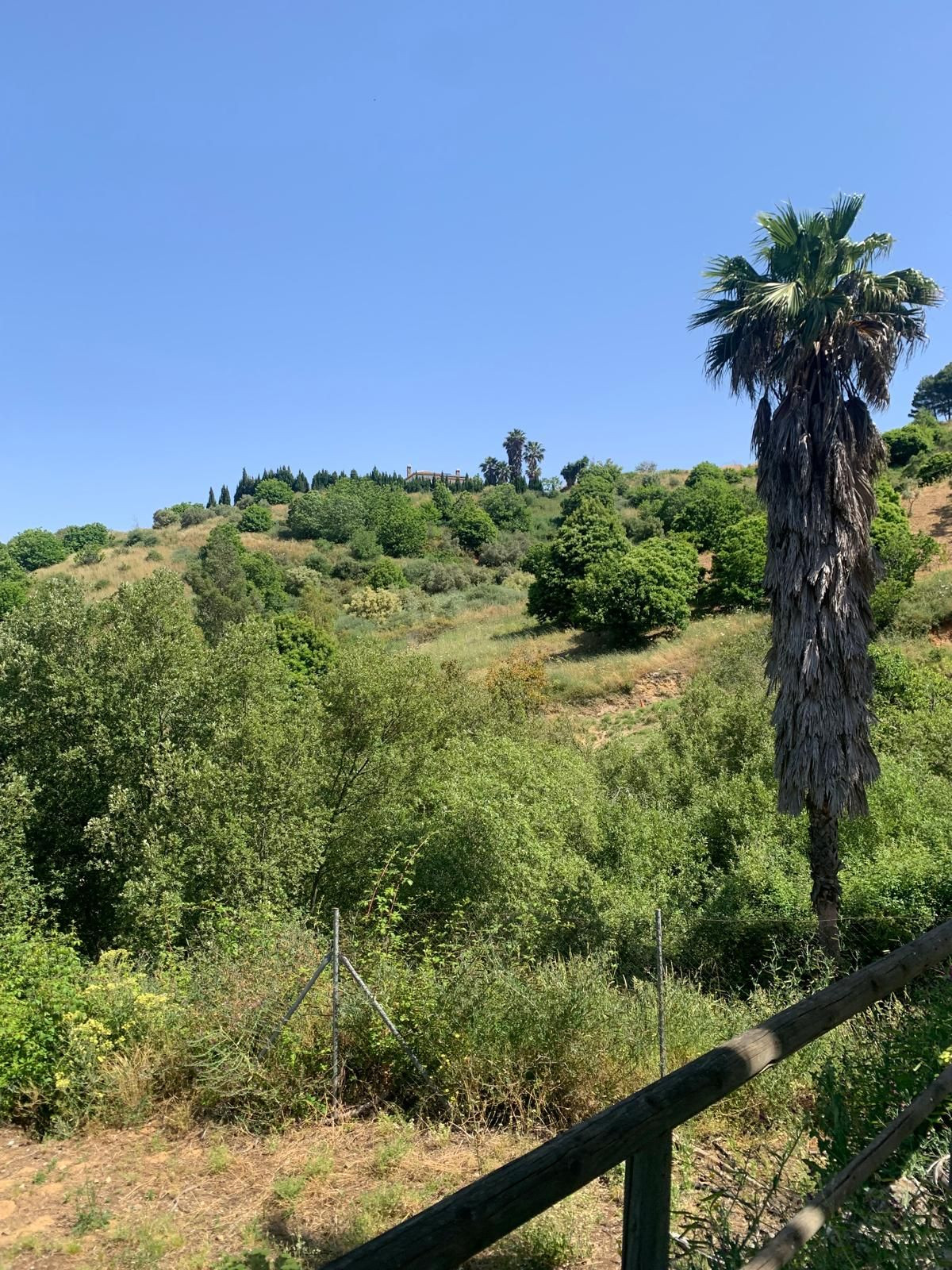 5b4a91136ac5cbf3f154994332d623c4 - 22