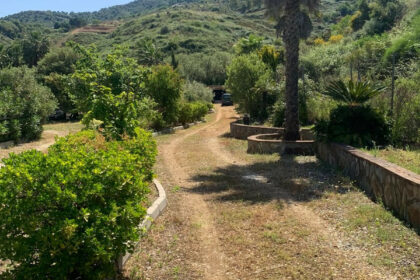 5b4a91136ac5cbf3f154994332d623c4 - 23