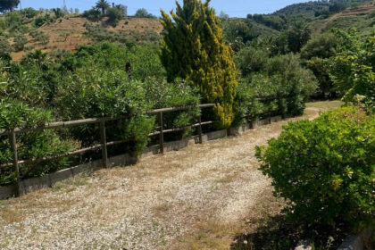 5b4a91136ac5cbf3f154994332d623c4 - 24