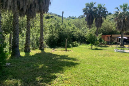 5b4a91136ac5cbf3f154994332d623c4 - 25