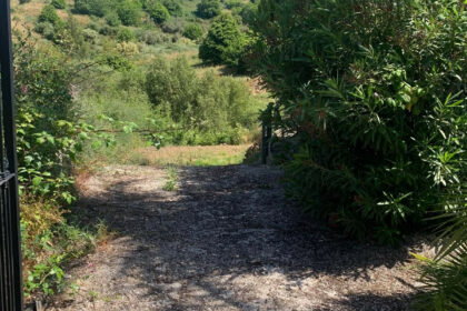 5b4a91136ac5cbf3f154994332d623c4 - 26