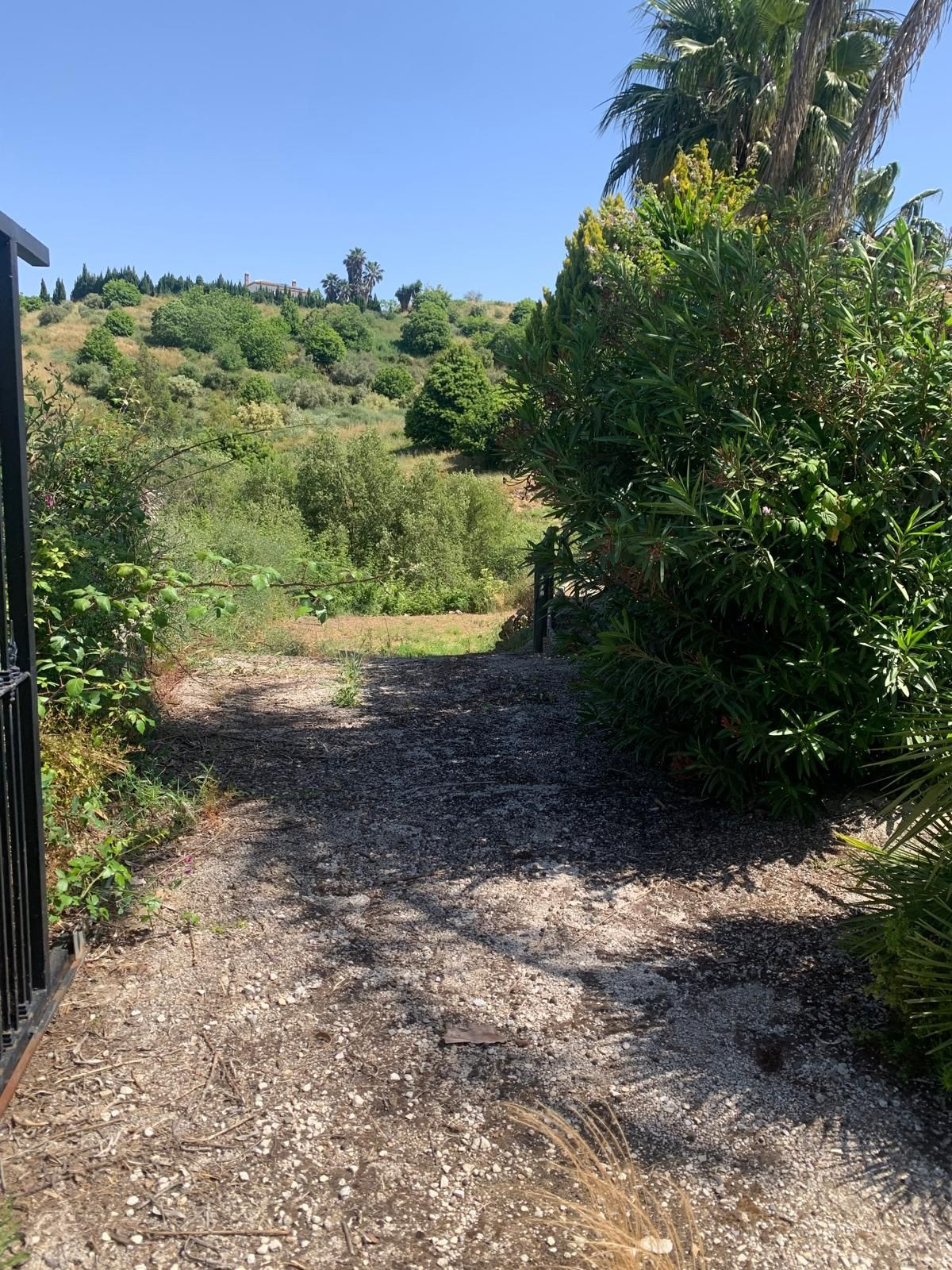 5b4a91136ac5cbf3f154994332d623c4 - 26