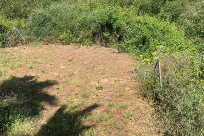 5b4a91136ac5cbf3f154994332d623c4 - 28