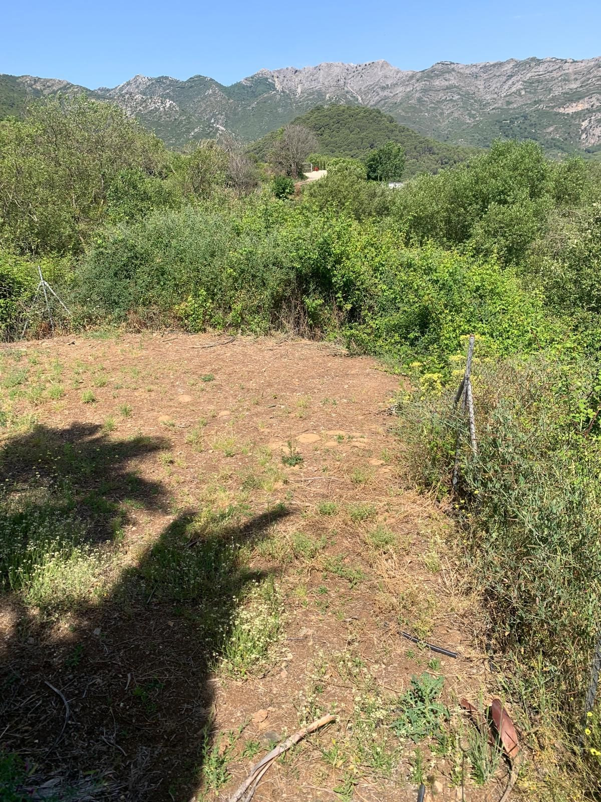 5b4a91136ac5cbf3f154994332d623c4 - 28