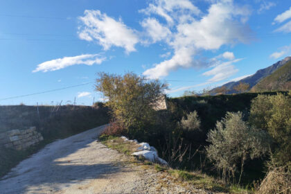 5b4a91136ac5cbf3f154994332d623c4 - 29