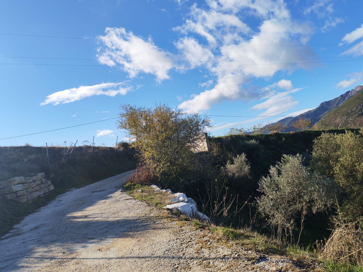 5b4a91136ac5cbf3f154994332d623c4 - 29