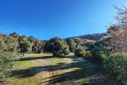 5b4a91136ac5cbf3f154994332d623c4 - 31