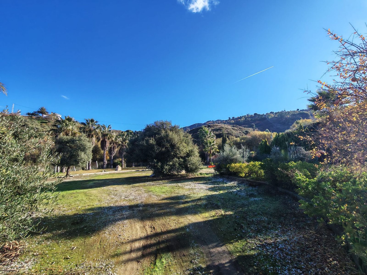 5b4a91136ac5cbf3f154994332d623c4 - 31