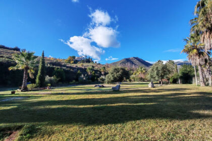 5b4a91136ac5cbf3f154994332d623c4 - 33