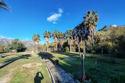 5b4a91136ac5cbf3f154994332d623c4 - 36