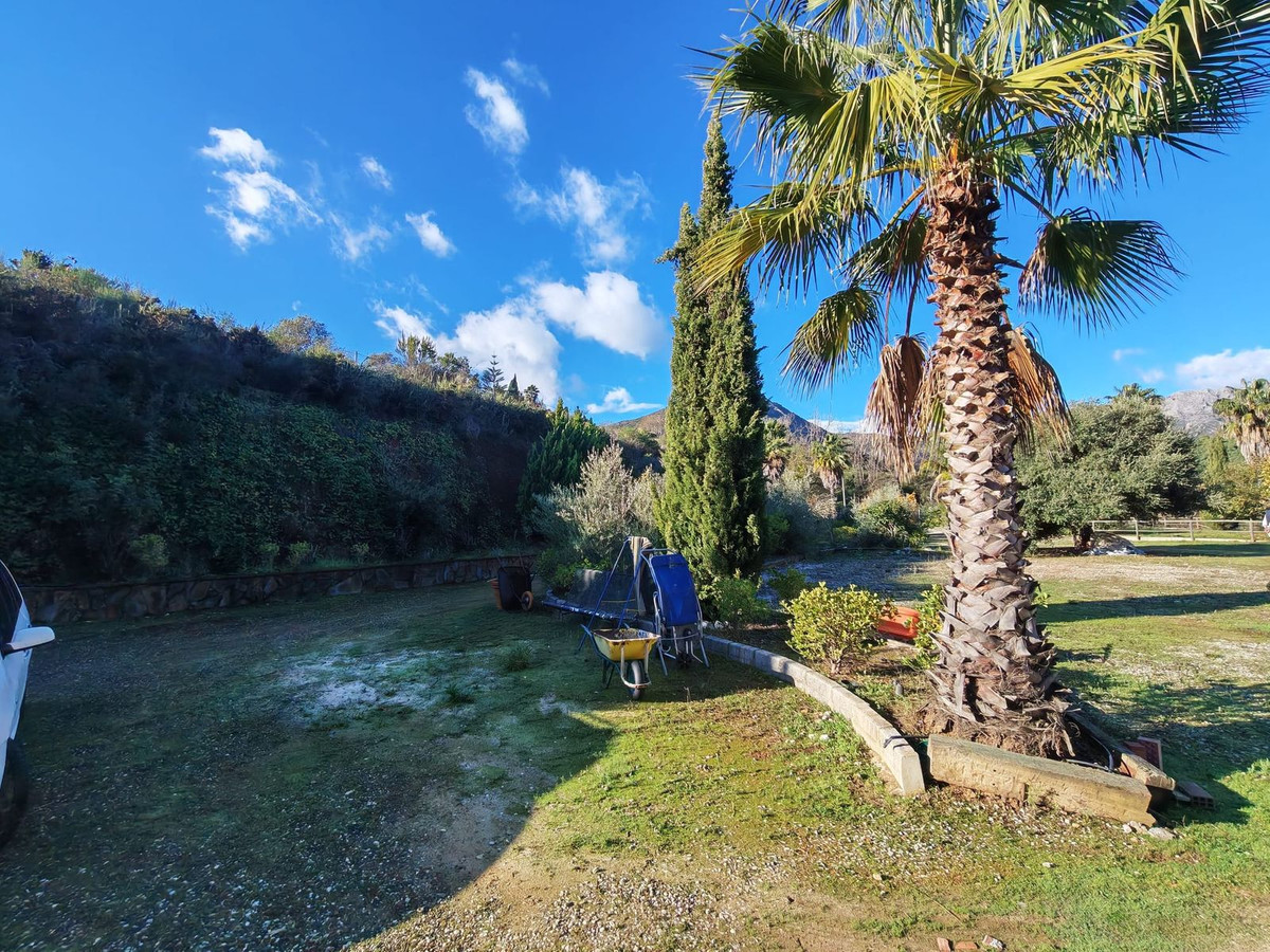 5b4a91136ac5cbf3f154994332d623c4 - 37