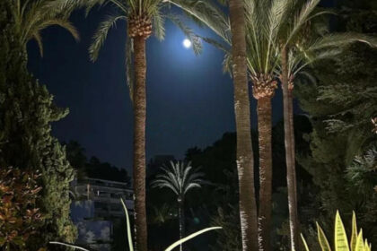 61f429a49906d7aefc99f46855cca55f - 16