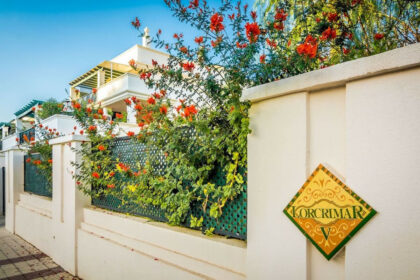 621635dcd9c8f7c327865f9e5fef60d7 - 32