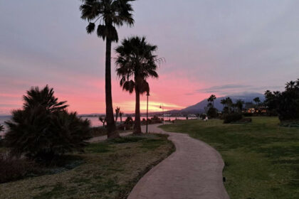 674298f5792f5e1956d2c6999956e5d2 - 29